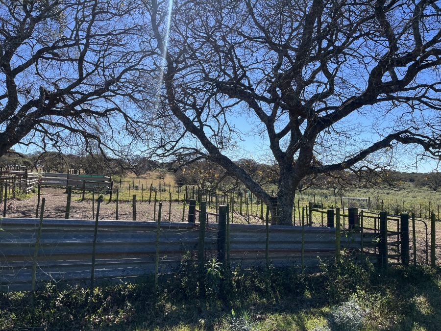 0 Bedroom Property for Sale in Stutterheim Rural Eastern Cape
